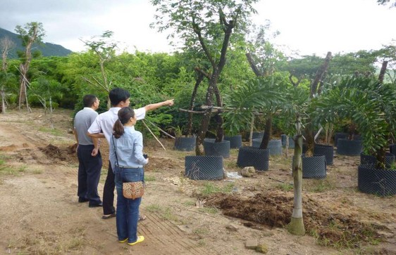 编制完成：三亚新大兴热带园林科技产业园项目建议书